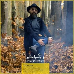 دانلود آهنگ هامون به نام زیبای غم انگیز